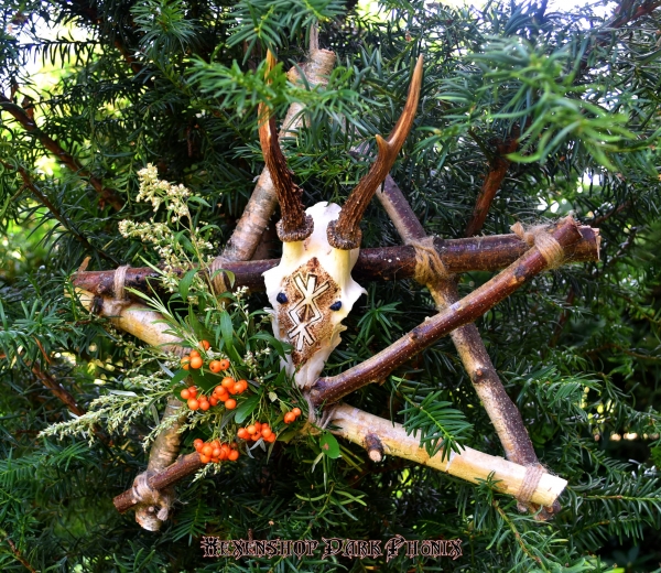 Hexenshop Dark Phönix Birkenholz Pentagramm mit einem Rehschädel